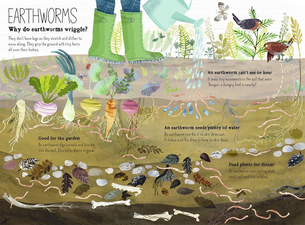 The Big Book of Bugs Published by Thames & Hudson