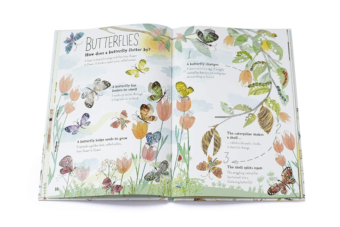 The Big Book of Bugs Published by Thames & Hudson