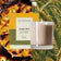 Jungle Bird 10 oz. Signature Votivo Candle
