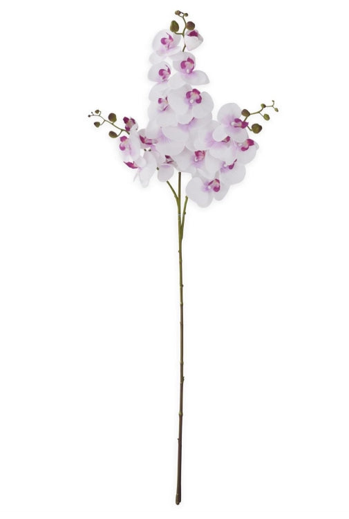 47 Inch White & Purple Orchid Spray