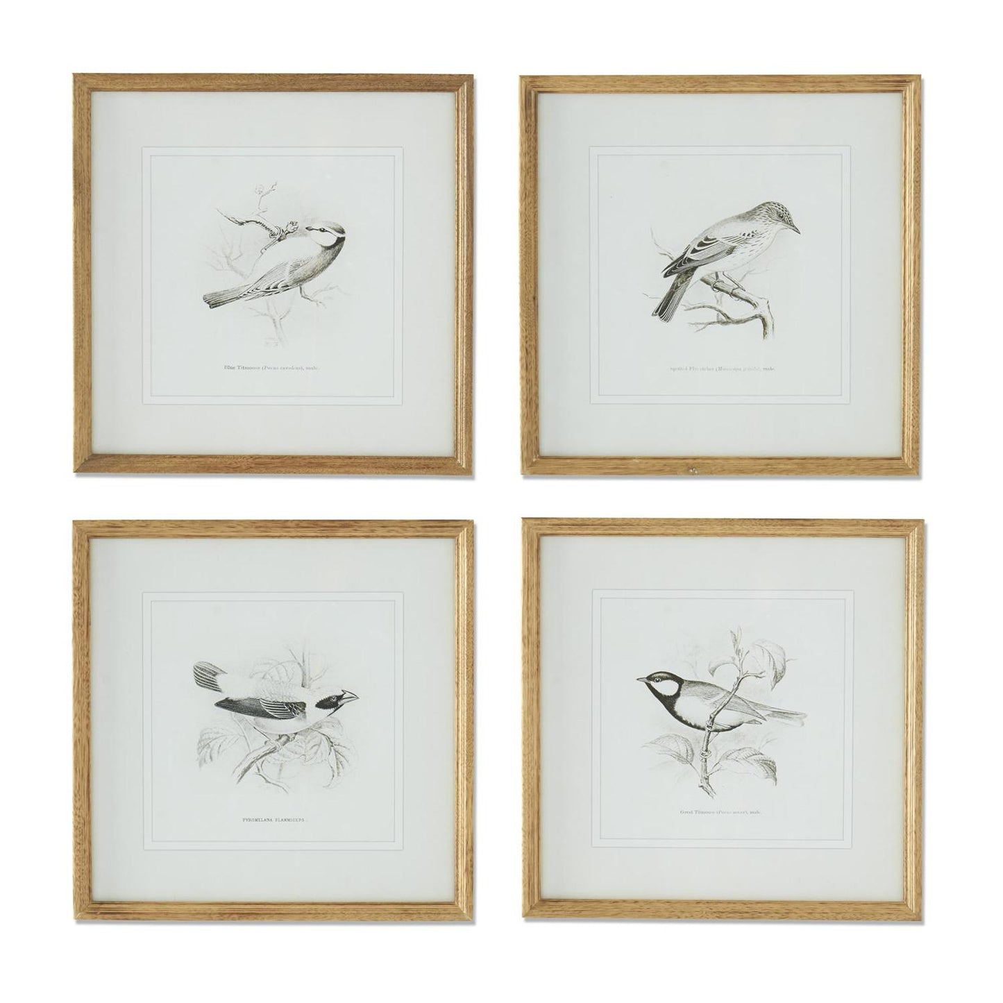 Bird Picture in Natural Wood Frame