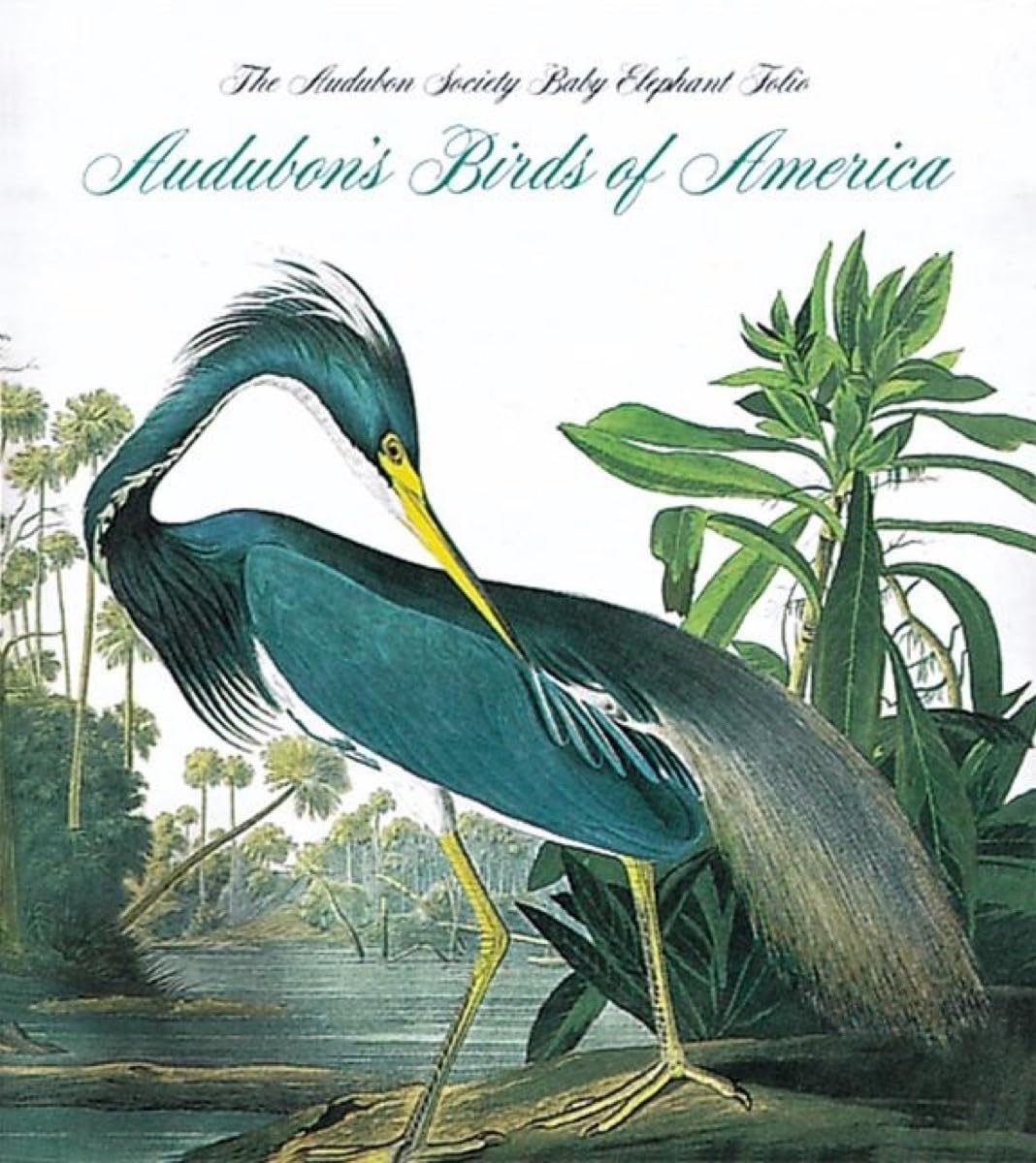 Audubon's Birds of America Tiny Book by Roger Tory Peterson