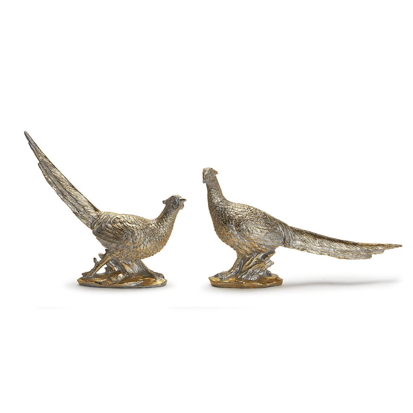 Pair of Golden Pheasants