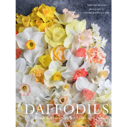 Daffodils by Naomi Slade