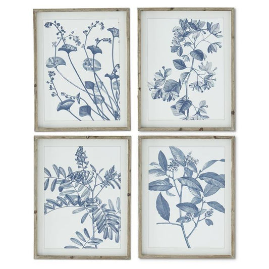 Blue and White Botanical Prints