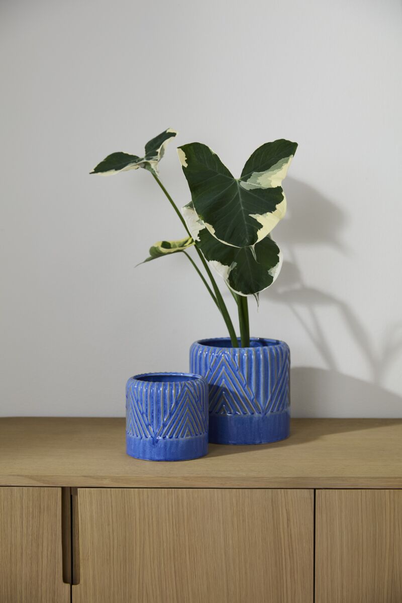 Refresh Blue Pot/Planter Small