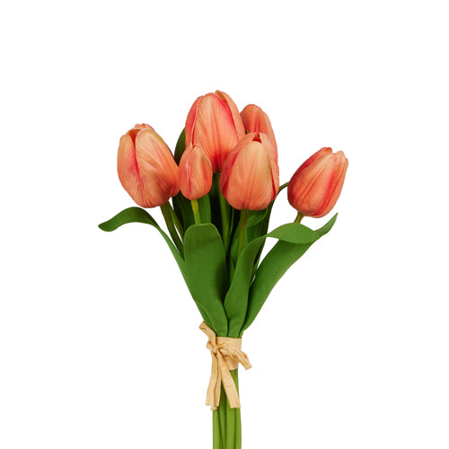 Coral Tulip Bundle 12"