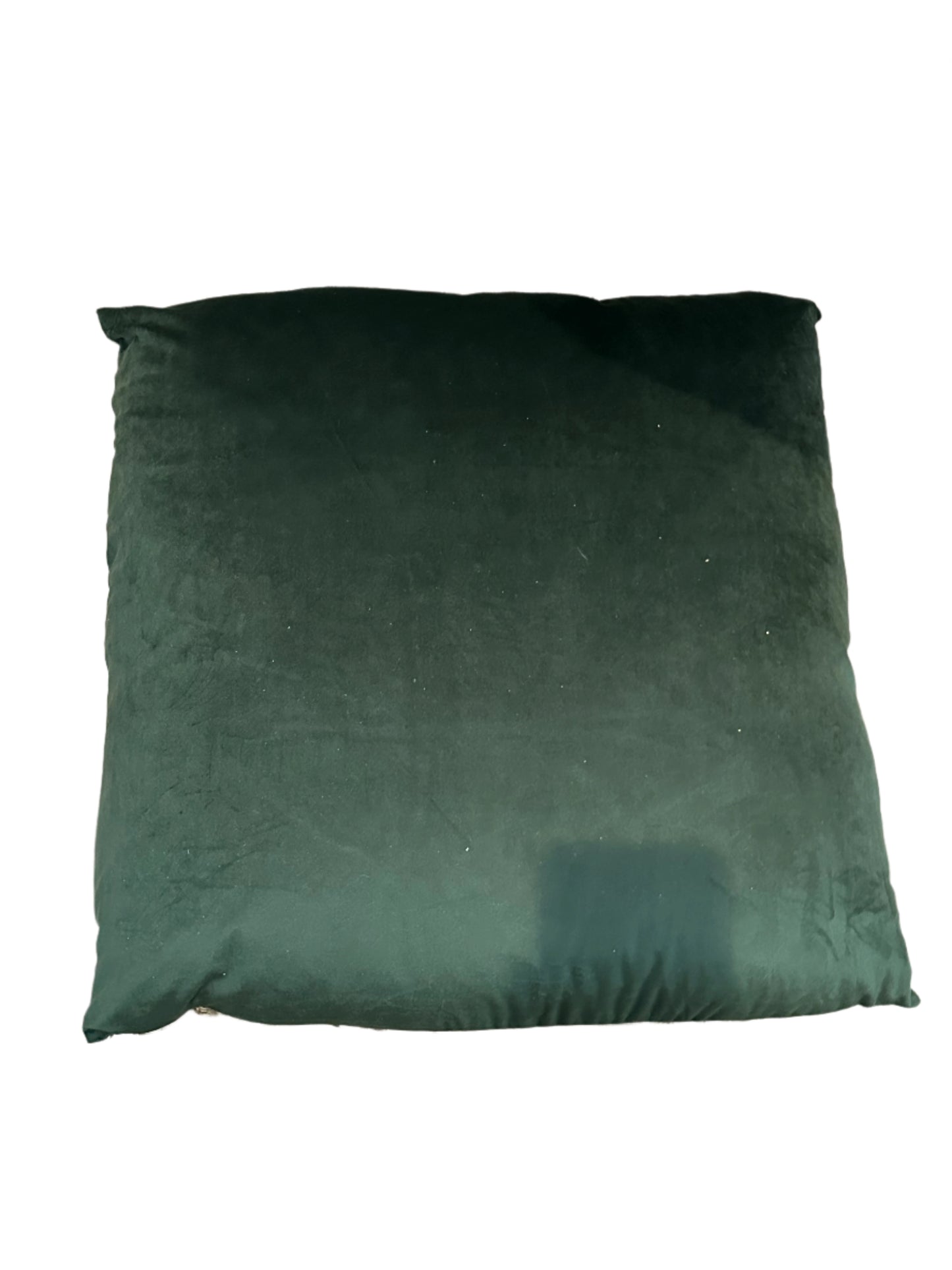 Shadowbrook Fern Pillow 22"