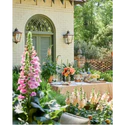 Celebrating Home By James Farmer